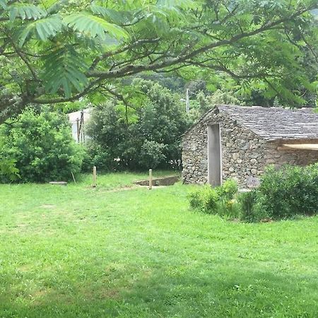 Olivetu Villa Sisco Buitenkant foto
